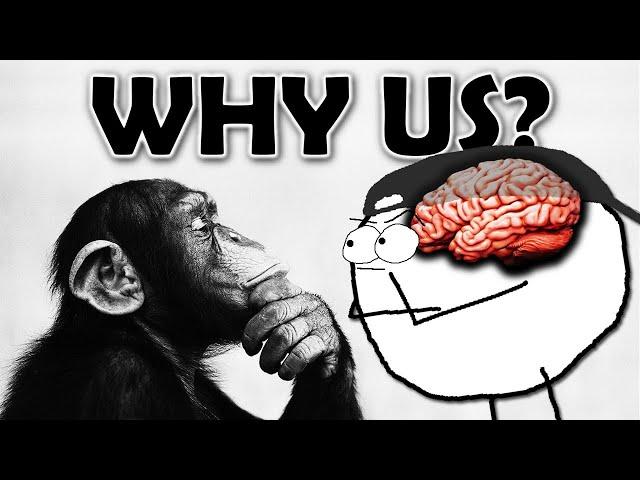 Why are humans the ONLY super intelligent animal?