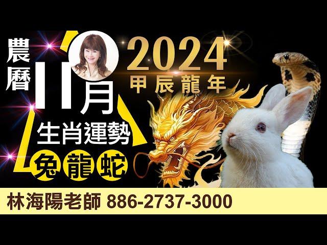 2024農曆十一月，丙子月，12生肖運勢大解析（兔、龍、蛇）【林海陽】_20241122