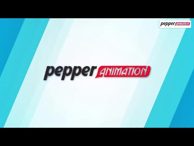 Course Information of The Pepper Animation Institute | Best Graphics Institute in Rohini, Delhi