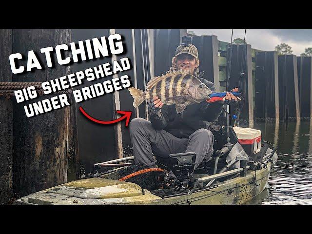 Catching BIG SHEEPSHEAD under Bridges | Gulf Shores Alabama Kayak Fishing