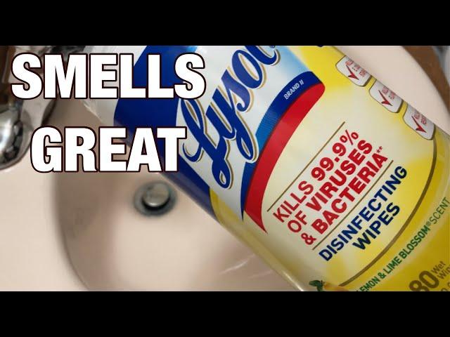 Lysol Disinfecting Wipes - Real Product Test!