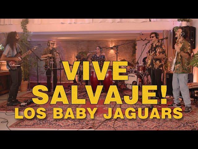 Los Baby Jaguars - Vive Salvaje!