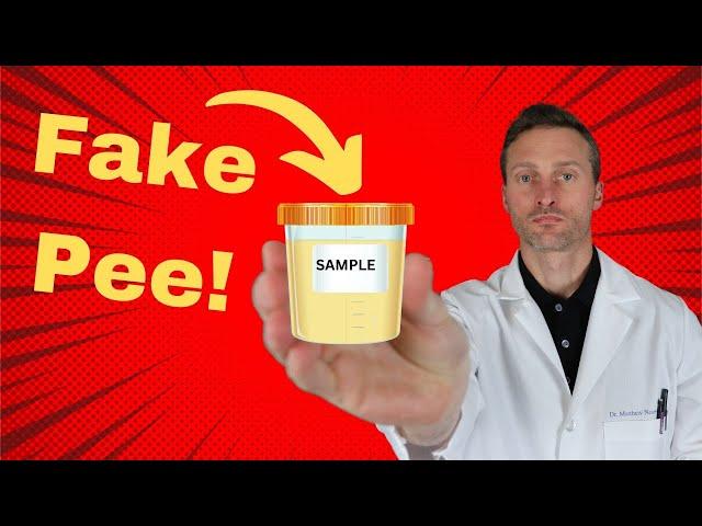 Can synthetic urine (fake pee) beat a drug test - The facts!