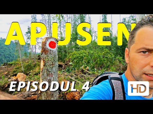 DEFORESTATION on the trail: SOMESULUI CALD GORGES CIRCUIT - Ep. 4 - Apuseni Natural Park