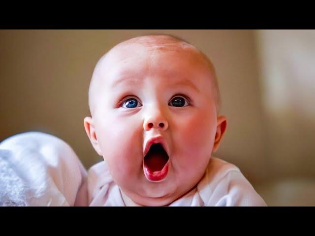 Funny Baby Videos - Adorable Chubby Baby Moments