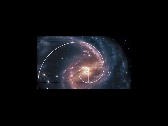 The Fibonacci Sequence