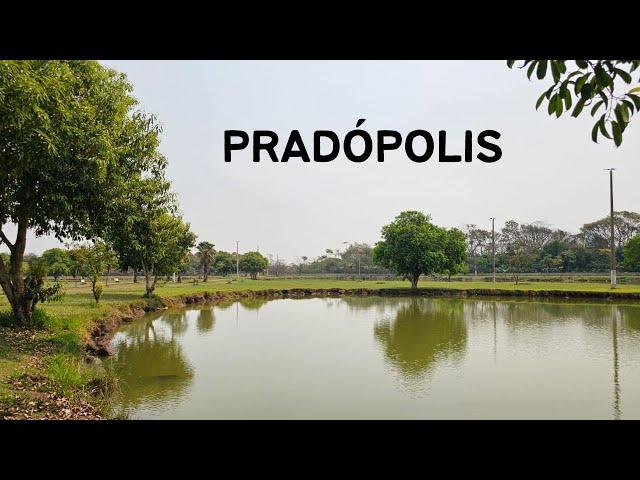 Pradópolis SP - Passeio da Rota 408 pela cidade de Pradópolis - 12° Temp - Ep 22