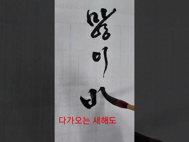 새해 인사