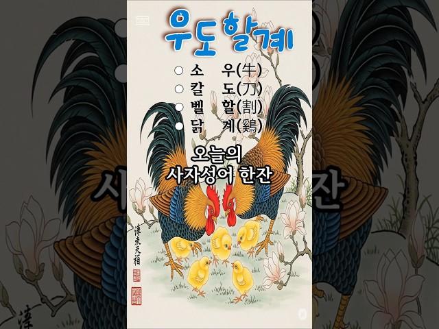 알아두면 쓸모있는 사자성어-16.우도할계 #사자성어 #short