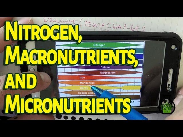 Nitrogen, Macronutrients, and Micronutrients - The Grass Factor