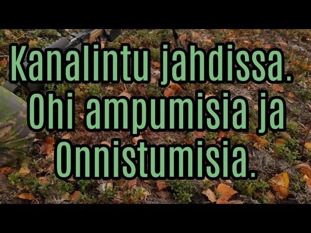 Kanalintu jahdissa. Ohi ampumisia ja Onnistumisia.