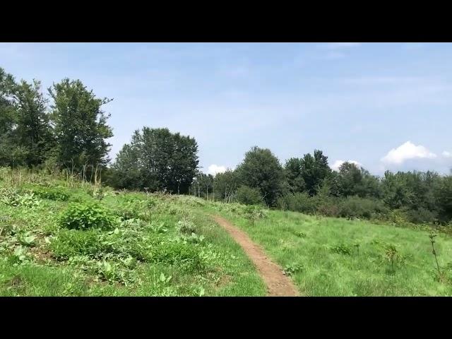 Hiking in Alborz mountains