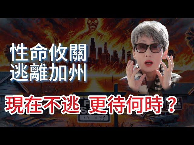 巴菲特早就跑了！這三個徵兆說明，加州的好日子真的不多了！大火、水危機、房價崩盤，加州的未來在哪裡？