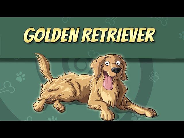 The Golden Retriever