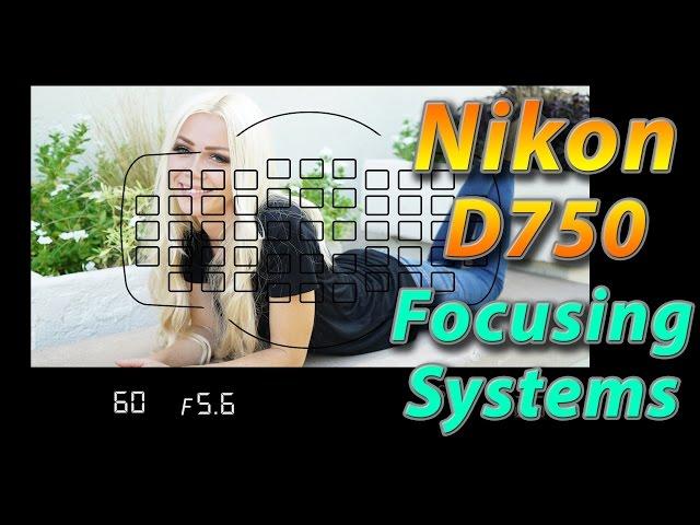 Nikon D750 Tutorial Training - Focusing Systems - How to