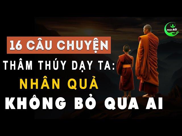 16 Câu Chuyện Thâm Thúy Dạy Ta: Nhân Quả Không Bỏ Qua Ai | Triết Lý Cuộc Sống Ý Nghĩa Ở Đời