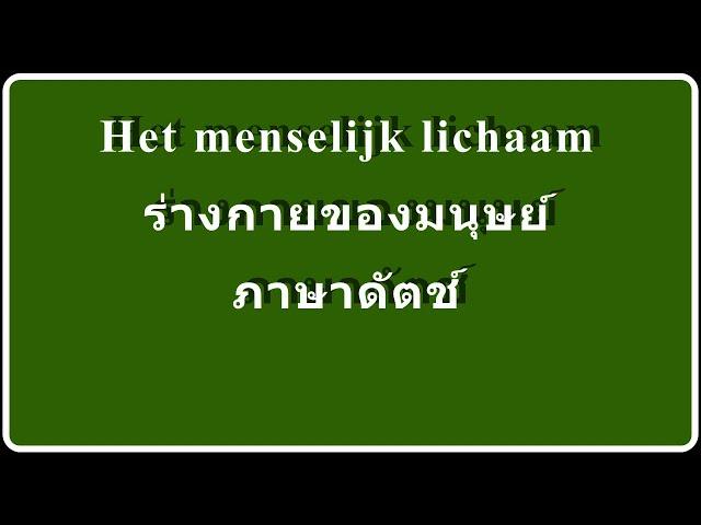 Het menselijk lichaamsdelen ภาษาดัตช์ อวัยวะของร่างกายมนุษย์