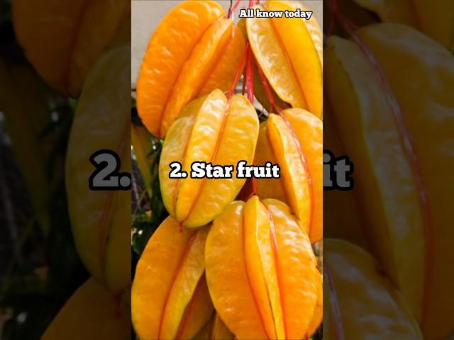 5 exotic fruits found only in India  #shorts