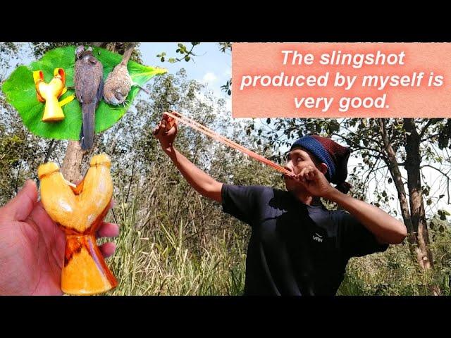 Start hunting with Slingshot made from special wood || Thai S