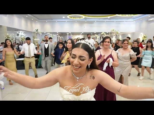 Özge & Birtan - Düğün - Grup Diyan 2023 - Full Halay  - Malatya Dersim - Darmstadt - AlpCamera