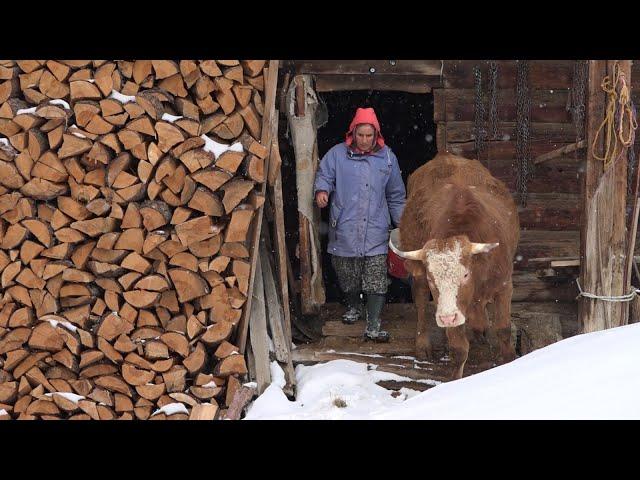 Winter Life of a Family Engaged in Husbandry