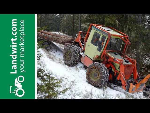 Forstarbeiten mit einem MB Trac 900 | landwirt.com