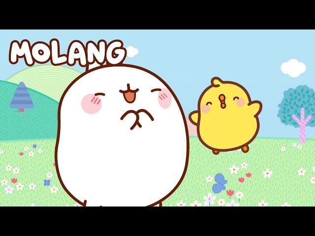 ALL the episodes ⭐ MOLANG and Piu Piu | Funny Cartoons for Kids | Compilation