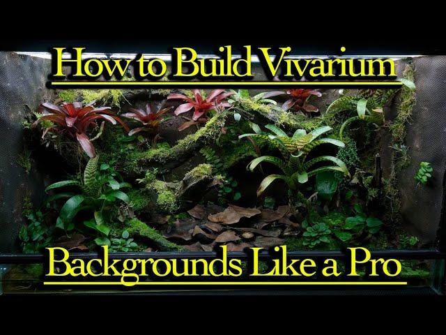 How To Build A Custom DIY Vivarium Like a Pro. . . Part 2!!