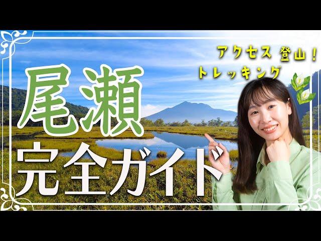 尾瀬完全ガイド！アクセス方法からトレッキング、登山ルート、宿泊まで徹底解説！