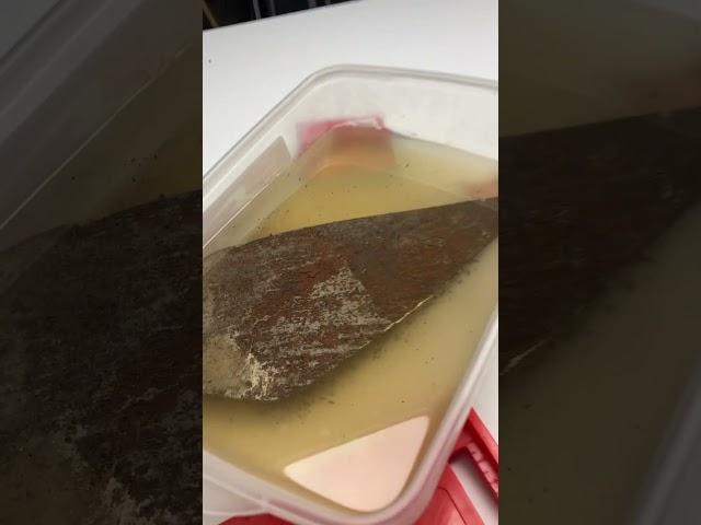 Easiest trowel restoration