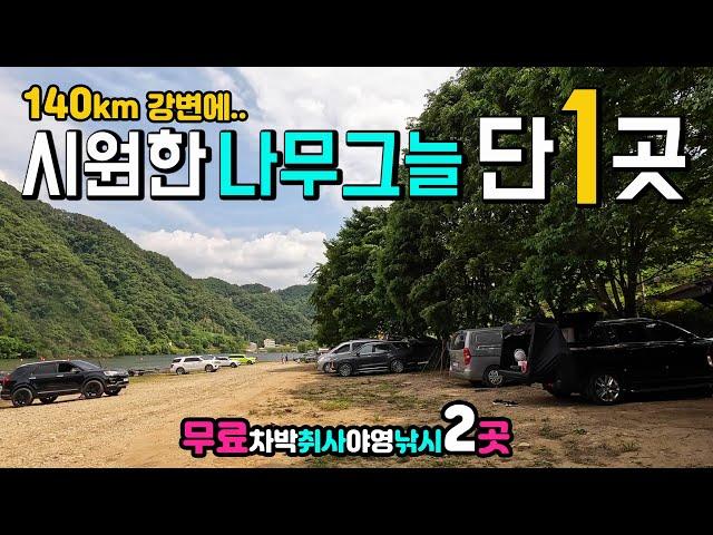 수도권 캠낚 명소, 캠핑카 차박 텐트 모두 OK, 무료캠핑 차박낚시 취사야영, 140km 강변에 단 1곳 시원한 나무그늘, 홍천강 마곡유원지 모곡밤벌