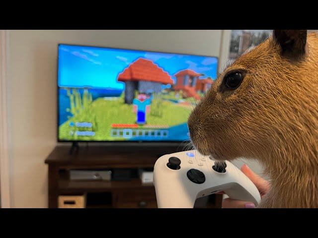 Gort Learns to Play Minecraft (world record capybara speedrun)