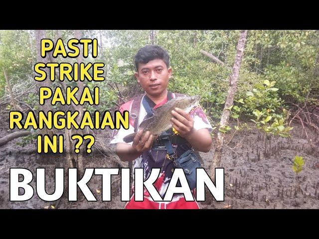 Setelan Rangkaian Pancing Barramundi - Ikan Kakap Putih | Muara