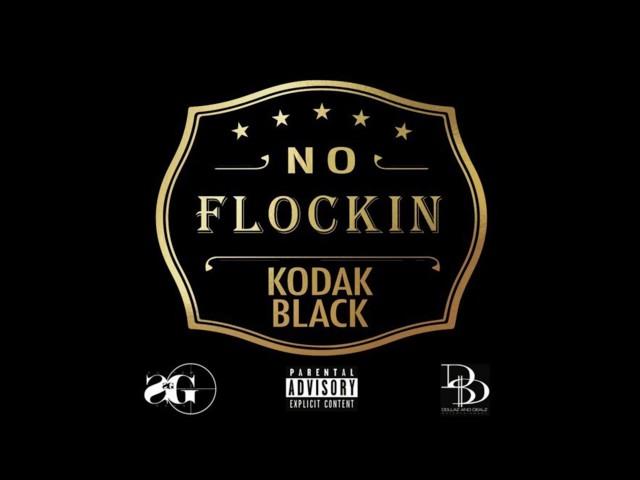 Kodak Black | No Flocking (clean)