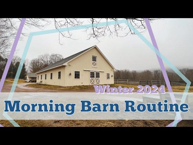 MY MORNING BARN ROUTINE: Feeding the Horses & Barn Chores | Winter 2024 •  EQUESTRIAN VLOG