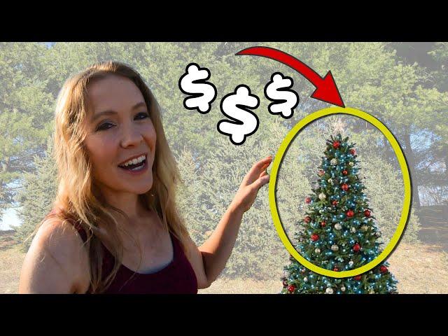 430 $60,000/ACRE?! (Big Money or Big FLOP?) Christmas Tree Farming 101 Interview With Retired Farmer