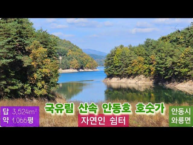 자연인 쉼터 (113)  평당 10만원 (국유림 산속 안동호 호숫가)(차량 진입) (생활용수 가능)(전기인입 가능) 경북 안동시 와룡면 오천리 010-4949-0049 안동역부동산