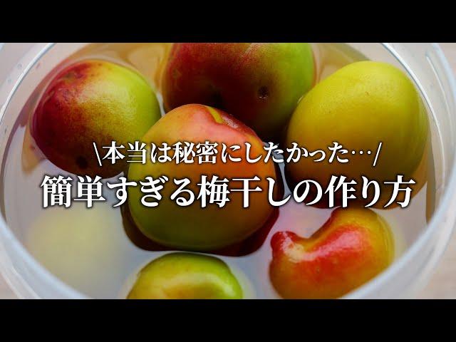 【梅干し屋直伝」本当は秘密にしたい梅干し作りの裏技。3分でできて失敗しません！