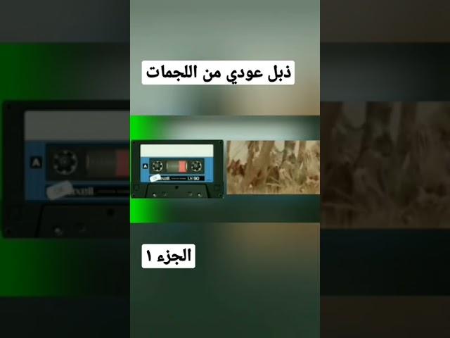 قربه لوجه الله وانحل ذبل عودي من اللجمات الشيخ سجاد الاسدي فضلا الاشتراك باقناة وتفعيل الجرس
