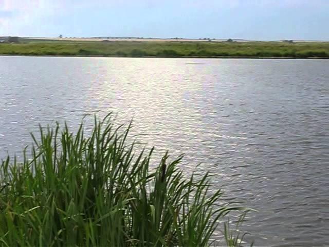 1. Беларусь, Гродненское море (водохранилище) / Belarus, Grodno Sea (reservoir), July 2014