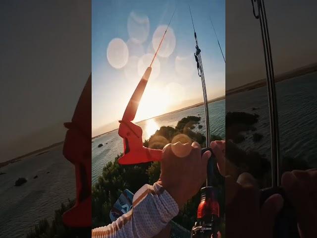 Action of a crazy man!  Flying with a kite!