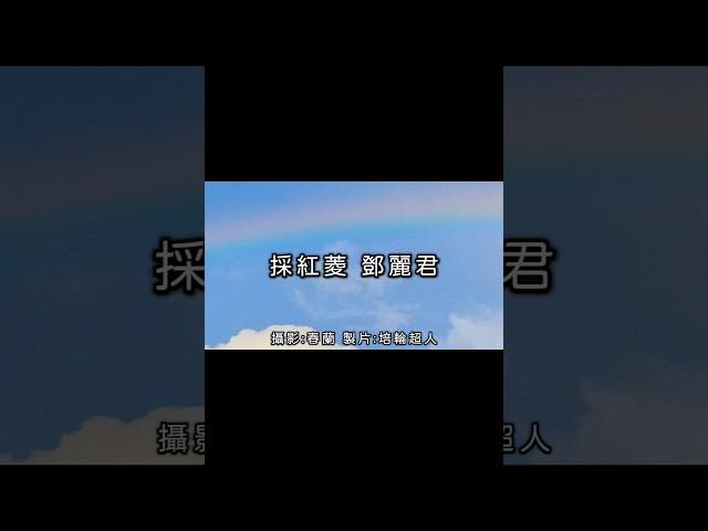 #採紅菱 #鄧麗君 #回憶殺 #歌詞 #花蓮 #光復【完整歌曲請點擊上方▶︎影片連結進入觀賞】