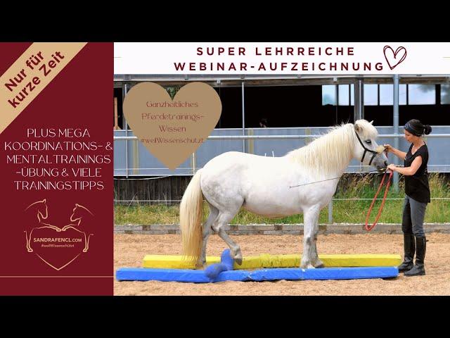  Sehr lehrreiche Pferdetrainings-Webinar-Aufzeichnung kreatives Balancetraining und vieles mehr 