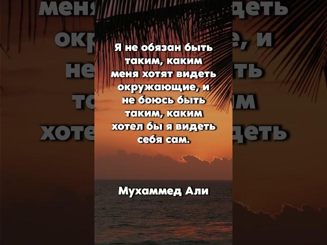 Точно сказано! Мудрые Жизненные Цитаты и Афоризмы Великих людей. #цитаты #shorts