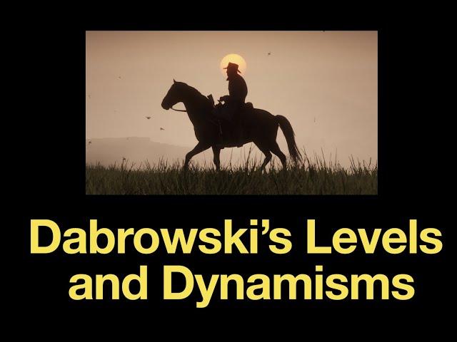 Dynamisms in Dabrowski's Theory of Positive Disintegration (what does each level look like?)