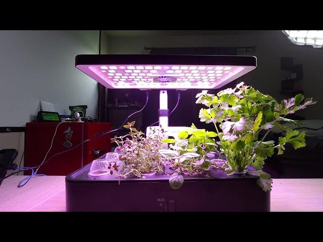 iDOO 12Pods Hydroponics Growing System update