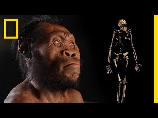 New Human Ancestor Discovered: Homo naledi (EXCLUSIVE VIDEO) | National Geographic