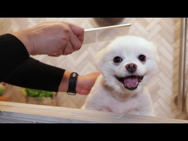 Practical Manor- One Minute | Wellborn Cabinet