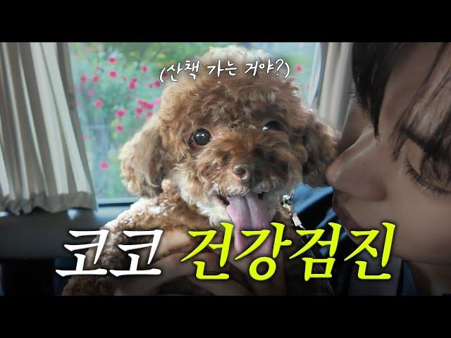 코코야 아프지마.... 이주승X코코의 건강검진 (eng sub)