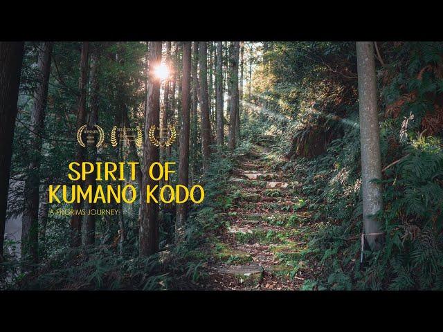 6 Day Solo Hike on Japans Camino de Santiago: KUMANO KODO 4K